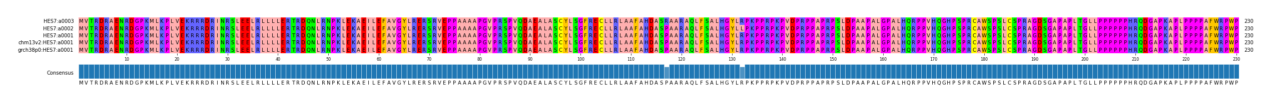 Multiple Alignments (by translate haplotype similarity)