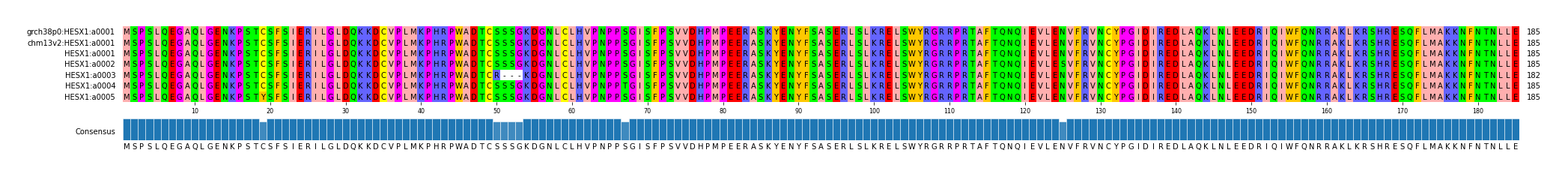 Multiple Alignments (by translate haplotype frequency)
