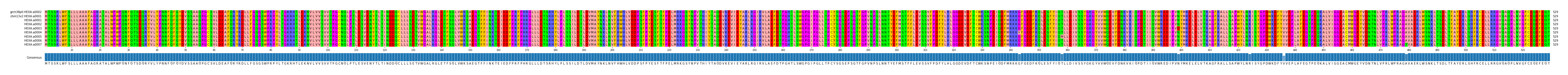 Multiple Alignments (by translate haplotype frequency)
