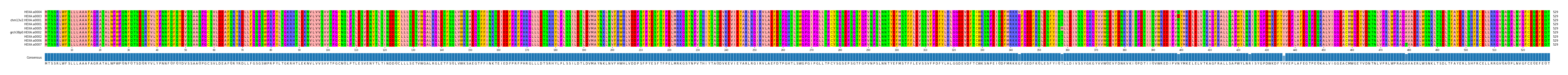 Multiple Alignments (by translate haplotype similarity)