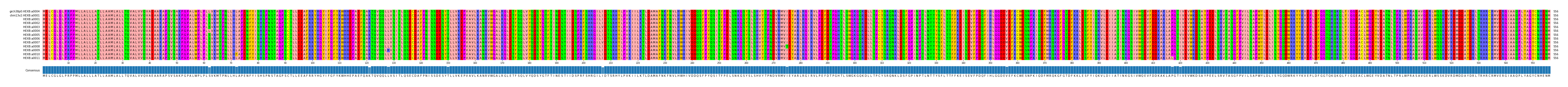 Multiple Alignments (by translate haplotype frequency)