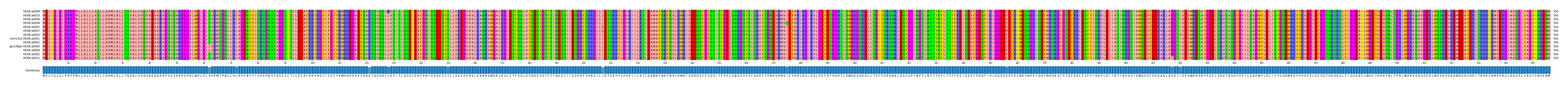 Multiple Alignments (by translate haplotype similarity)
