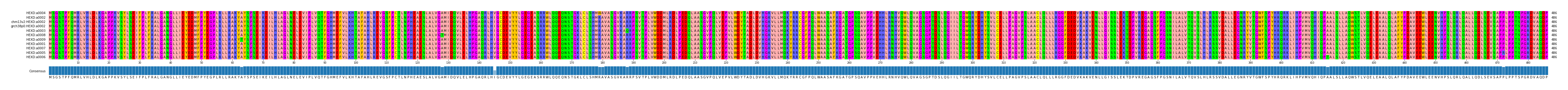 Multiple Alignments (by translate haplotype similarity)