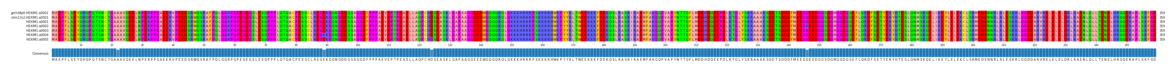 Multiple Alignments (by translate haplotype frequency)