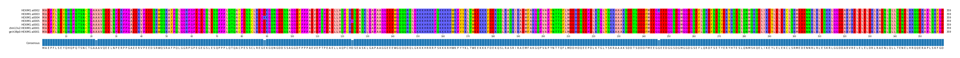 Multiple Alignments (by translate haplotype similarity)