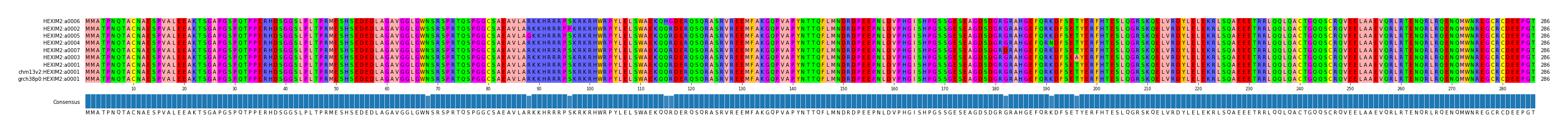 Multiple Alignments (by translate haplotype similarity)
