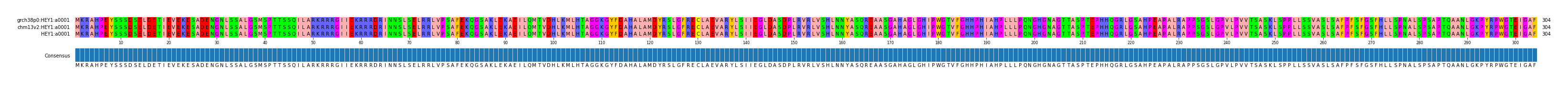 Multiple Alignments (by translate haplotype frequency)