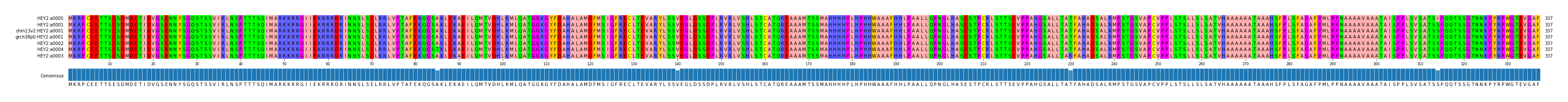 Multiple Alignments (by translate haplotype similarity)