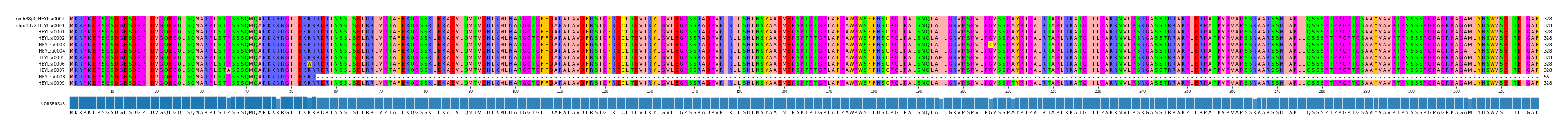 Multiple Alignments (by translate haplotype frequency)