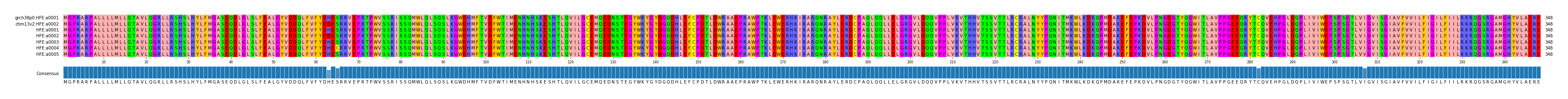 Multiple Alignments (by translate haplotype frequency)