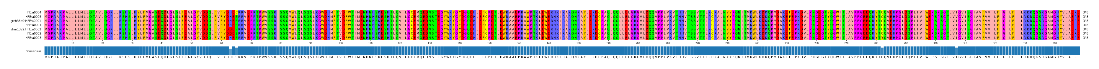 Multiple Alignments (by translate haplotype similarity)