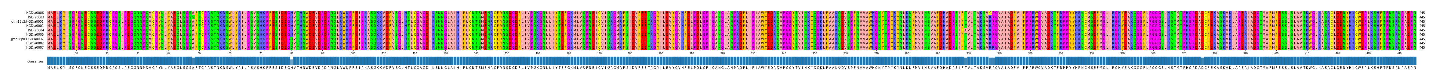 Multiple Alignments (by translate haplotype similarity)