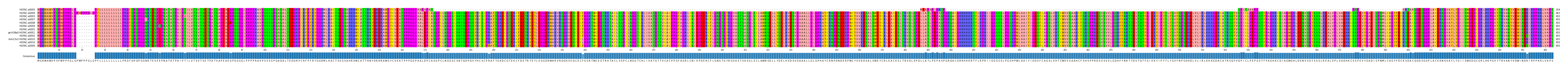 Multiple Alignments (by translate haplotype similarity)