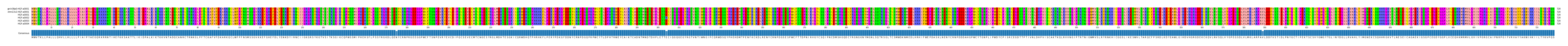Multiple Alignments (by translate haplotype frequency)