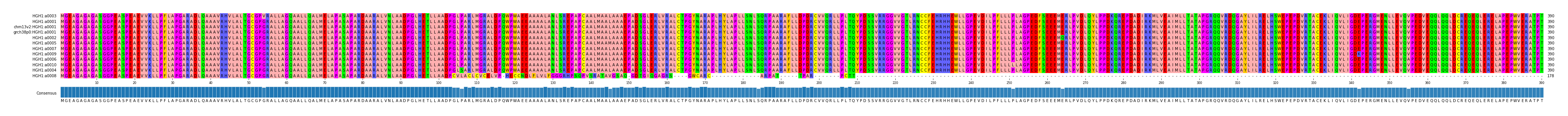 Multiple Alignments (by translate haplotype similarity)