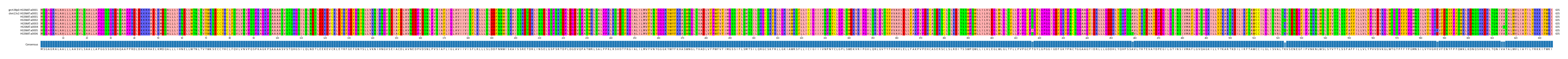Multiple Alignments (by translate haplotype frequency)