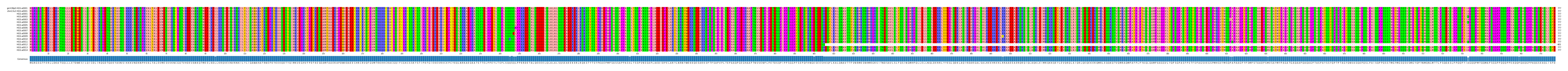 Multiple Alignments (by translate haplotype frequency)