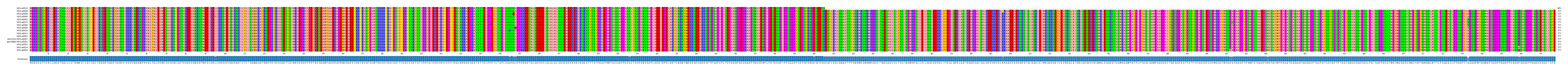 Multiple Alignments (by translate haplotype similarity)