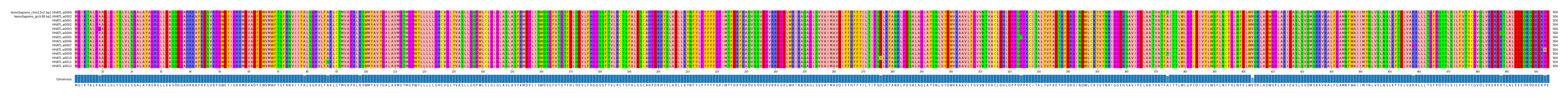 Multiple Alignments (by translate haplotype frequency)