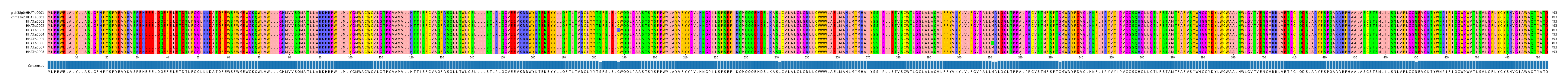 Multiple Alignments (by translate haplotype frequency)
