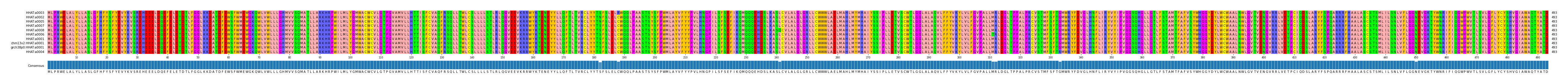 Multiple Alignments (by translate haplotype similarity)