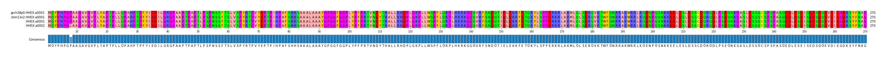 Multiple Alignments (by translate haplotype similarity)