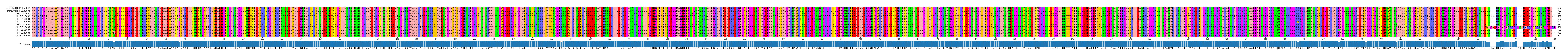 Multiple Alignments (by translate haplotype frequency)