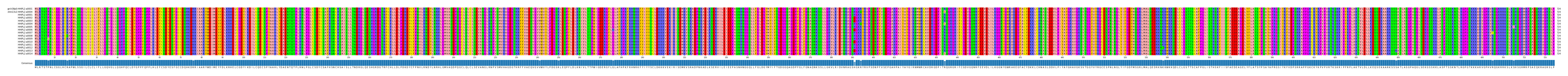 Multiple Alignments (by translate haplotype frequency)