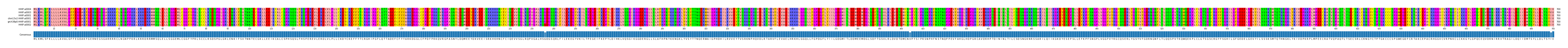 Multiple Alignments (by translate haplotype similarity)