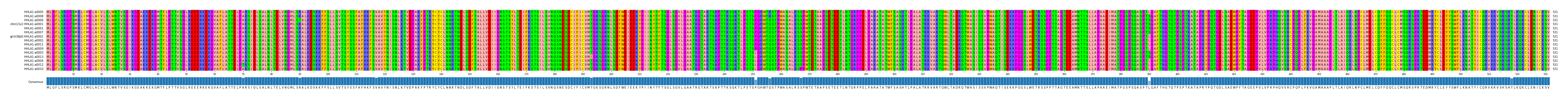 Multiple Alignments (by translate haplotype similarity)