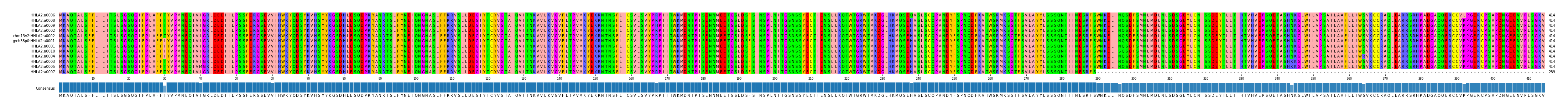 Multiple Alignments (by translate haplotype similarity)