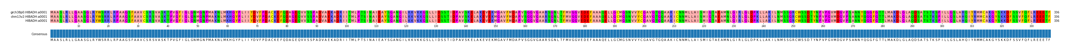 Multiple Alignments (by translate haplotype frequency)