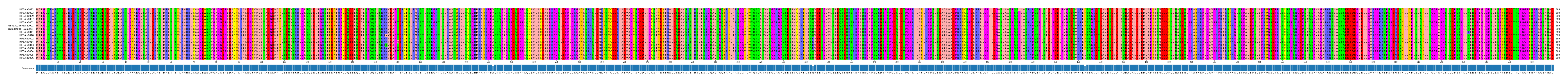 Multiple Alignments (by translate haplotype similarity)