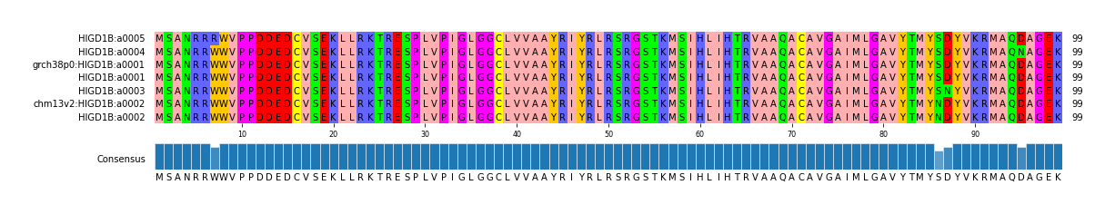 Multiple Alignments (by translate haplotype similarity)