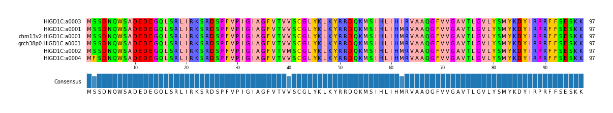 Multiple Alignments (by translate haplotype similarity)