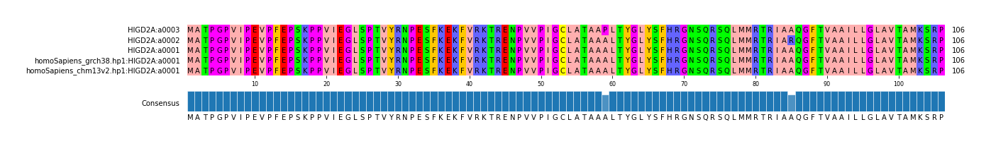 Multiple Alignments (by translate haplotype similarity)