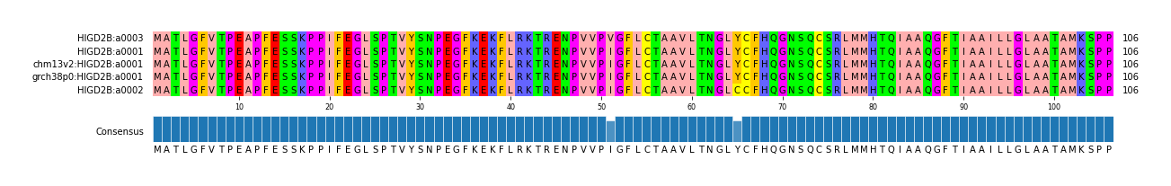Multiple Alignments (by translate haplotype similarity)