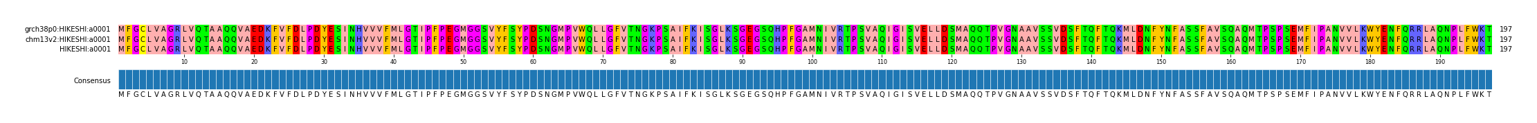 Multiple Alignments (by translate haplotype similarity)