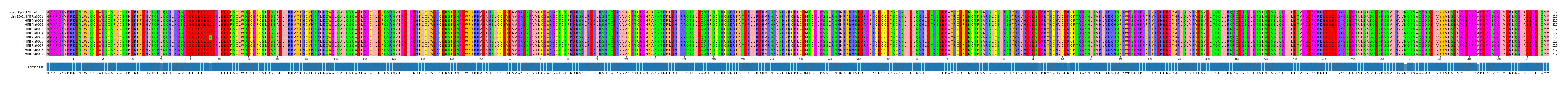 Multiple Alignments (by translate haplotype frequency)