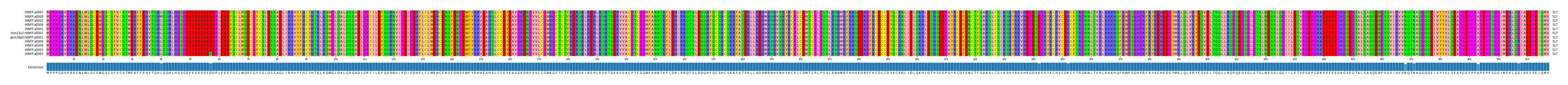 Multiple Alignments (by translate haplotype similarity)