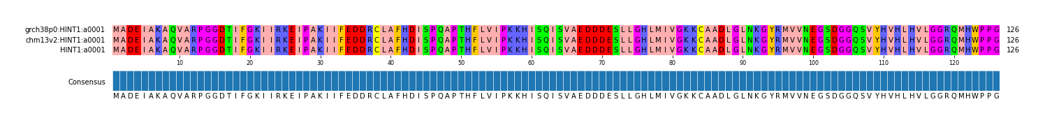 Multiple Alignments (by translate haplotype frequency)