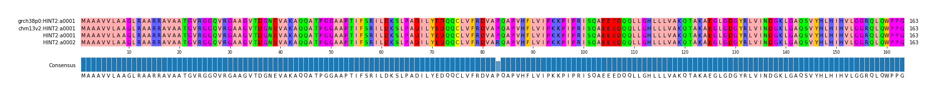 Multiple Alignments (by translate haplotype similarity)