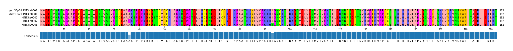 Multiple Alignments (by translate haplotype frequency)