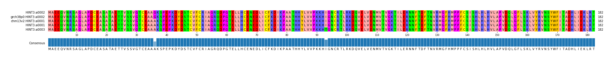 Multiple Alignments (by translate haplotype similarity)