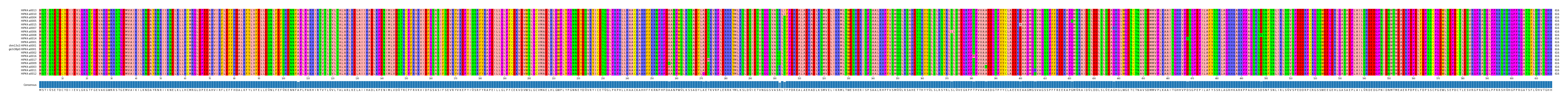 Multiple Alignments (by translate haplotype similarity)