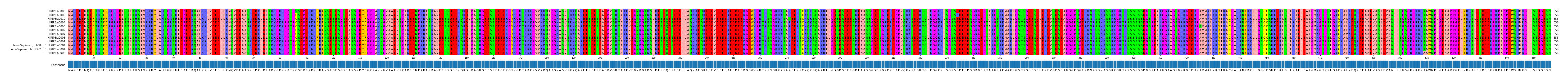 Multiple Alignments (by translate haplotype similarity)