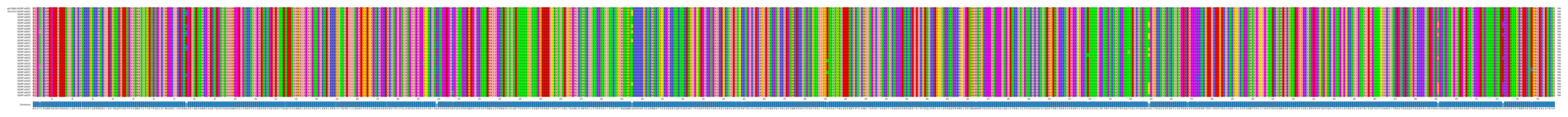 Multiple Alignments (by translate haplotype frequency)