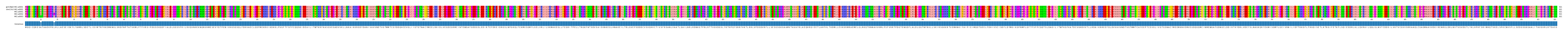 Multiple Alignments (by translate haplotype frequency)