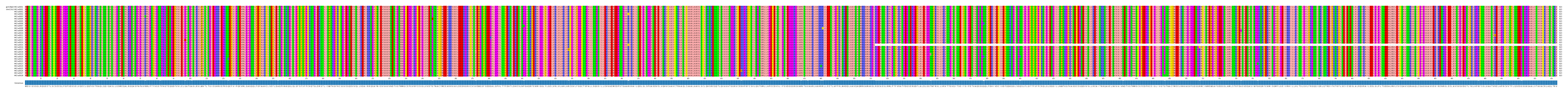 Multiple Alignments (by translate haplotype frequency)