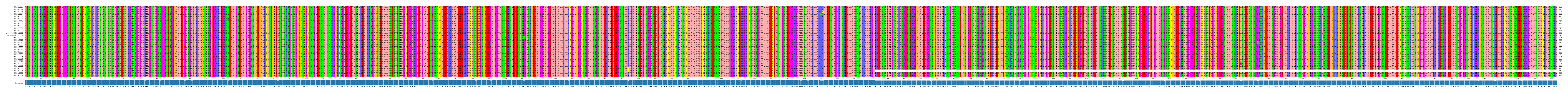 Multiple Alignments (by translate haplotype similarity)